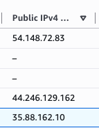 EC2 Public IPv4 Address